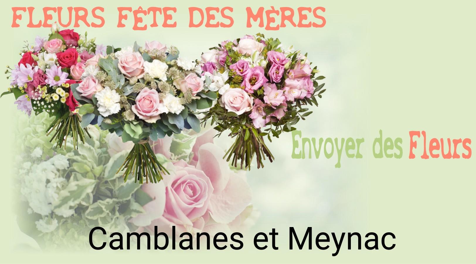 Bouquet de Fête des Mères livré à Camblanes-et-Meynac